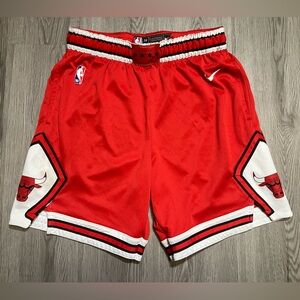 Nike DRI-FIT Chicago Bulls basketball athletic shorts men’s large vintage NBA